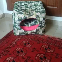خونه ی گربه
