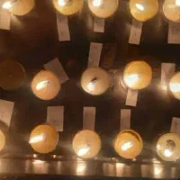 تمامی فالهاباقیمت باورنکردنی|خدمات پذیرایی، مراسم|رشت, فرودگاه سردار جنگل رشت|دیوار