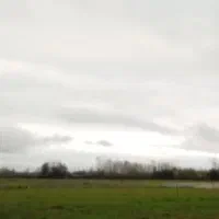 شالیزار-2000-متر