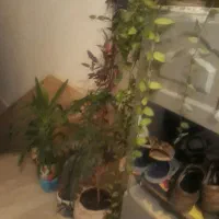 فروش مسکن مهر درجه یک|فروش آپارتمان|الشتر, |دیوار