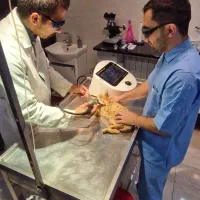 جذب کارآموز دامپزشکی در کلینیک با حقوق توافقی