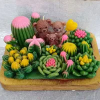 باغچه کاکتوس|کلکسیون و سرگرمی|قم, چهار مردان|دیوار