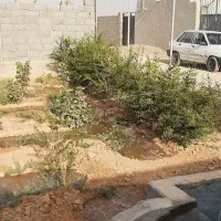 باغ نقلی معاوضه با خودرو