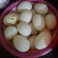 تخم اردک نطفه دار