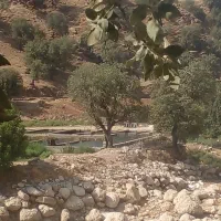 منزل طبقه بالا امکانات فول بردگپی