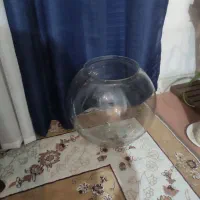 آکواریم شیشه خم|ماهی|کرج, خرمدشت|دیوار