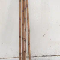 بامبو