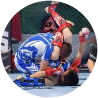 آکادمی تخصصی هنرهای رزمی|خدمات آموزشی|بیرجند, |دیوار