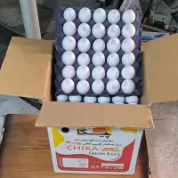 تخم مرغ|خوردنی و آشامیدنی|تهران, انبار نفت|دیوار