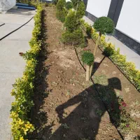 آبیاری قطره ای، بارانی، پلی اتیلن|خدمات باغبانی و درختکاری|شهریار, شهرک اداری تندگویان|دیوار