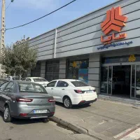 شاهین (مدلهای مختلف)