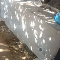 مرغ وخروس شهری|حیوانات مزرعه|قشم, |دیوار