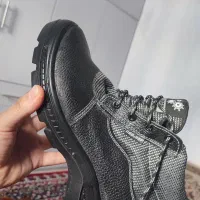 کفش کار نو