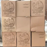 پخش تخم مرغ و خرما