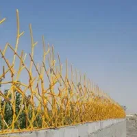 شاخ گوزنی ارتفاع یک متر