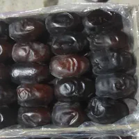 خرما کتابی درجه یک|خوردنی و آشامیدنی|سیب و سوران, |دیوار