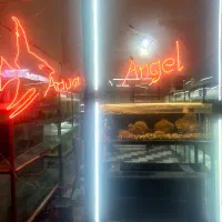 آکواریوم آنجل