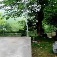 600 متر زمین ییلاقی نزدیک بافت|فروش زمین و ملک کلنگی|آلاشت, |دیوار