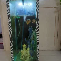 اکواریوم (استوانه ای)|ماهی|نجفآباد, فاز ۳ شهرک آزادگان|دیوار