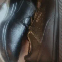 نیم بوت|کیف، کفش، کمربند|گلپایگان, |دیوار