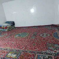 سوئیت مبله  یه خوابه|اجارهٔ کوتاه‌مدت آپارتمان و سوئیت|بندر دیر, |دیوار