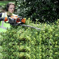 خدمات باغبانی لواسان فشم میگون شمشک درسراسر لواسان|خدمات باغبانی و درختکاری|لواسان, |دیوار