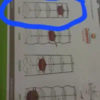 استند قابلمه نو وسالم