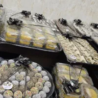 خرما|خدمات پذیرایی، مراسم|بهبهان, |دیوار