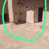 ملک ملک کلنگی