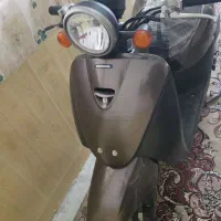 فروشی پاکشتی