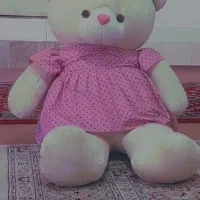 خرس بزرگ ۱متری