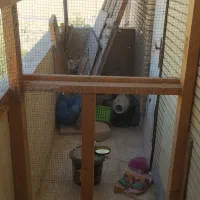 قفس بزرگ برای پرنده