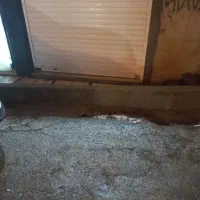 پیدا شدن سگ