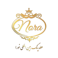 جذب سرمایه گذار در هلدینگ بین المللی نورا
