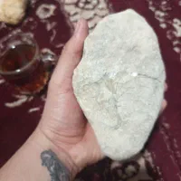 سنگ فسیل|کلکسیون اشیاء عتیقه|بندر کنگان, |دیوار