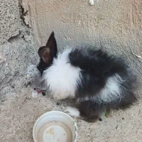 سلام ب همه
