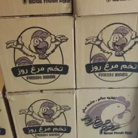 پخش تخم مرغ فرزانه|خوردنی و آشامیدنی|تهران, فرزانه|دیوار