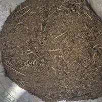 کود گوسفندی|خدمات باغبانی و درختکاری|هشتگرد, سعید آباد|دیوار