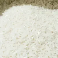 برنج فجر سوزنی ۹۰ روزه