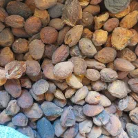 زرد الو|خوردنی و آشامیدنی|بهارستان, |دیوار