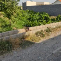 با سلام هرچند من خاستین متونی بگیری