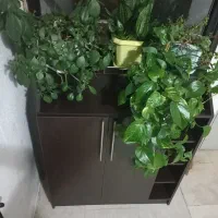 جاکفشی نو|جاکفشی، کمد، دراور|کرمانشاه, |دیوار