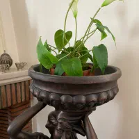 میوه خوری ایستاده پلی استر با کیفیت|مجسمه، تندیس، ماکت|اصفهان, عباس‌آباد|دیوار