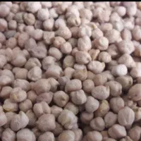 30 کیلو نخود کرمانشاه یه جا برداشت یک هفته پیش
