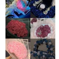 تخفیف فقط(۱۴)