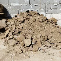 کود حیوانی گوسفند خشک