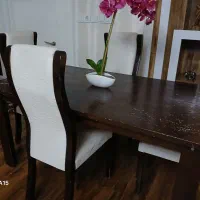 میز ناهارخوری ۴ نفری مورد استفاده در باغ