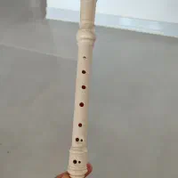 فلوت