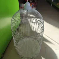 قفس نو|لوازم جانبی حیوانات|سبزوار, سجاد|دیوار