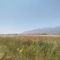 گاودانه. خرمنکوب